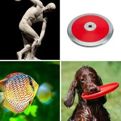 4 Bilder 1 Wort Level 556 Bilder
