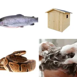 4 Bilder 1 Wort Level 566 Bilder