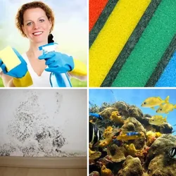 4 Bilder 1 Wort Level 577 Bilder