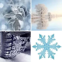 4 Bilder 1 Wort Level 607 Bilder