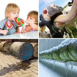 4 Bilder 1 Wort Level 611 Bilder