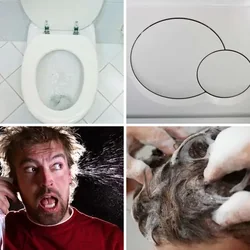 4 Bilder 1 Wort Level 626 Bilder