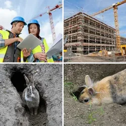 4 Bilder 1 Wort Level 64 Bilder
