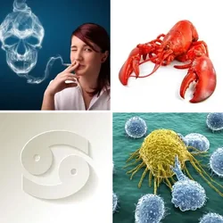4 Bilder 1 Wort Level 641 Bilder