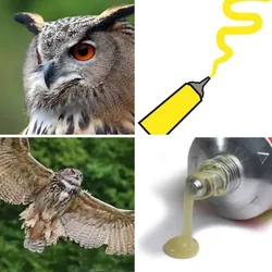 4 Bilder 1 Wort Level 66 Bilder