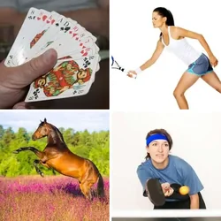 4 Bilder 1 Wort Level 669 Bilder