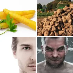 4 Bilder 1 Wort Level 683 Bilder