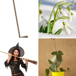 4 Bilder 1 Wort Level 700 Bilder