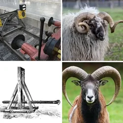4 Bilder 1 Wort Level 717 Bilder