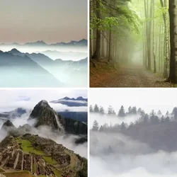 4 Bilder 1 Wort Level 72 Bilder