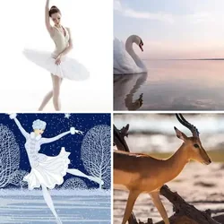4 Bilder 1 Wort Level 725 Bilder