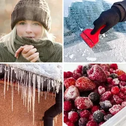 4 Bilder 1 Wort Level 739 Bilder