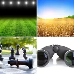 4 Bilder 1 Wort Level 743 Bilder