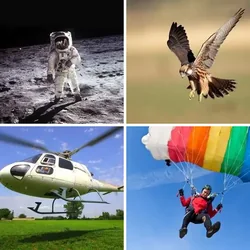 4 Bilder 1 Wort Level 748 Bilder