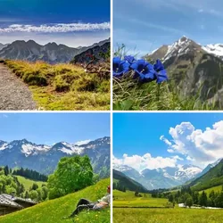 4 Bilder 1 Wort Level 768 Bilder