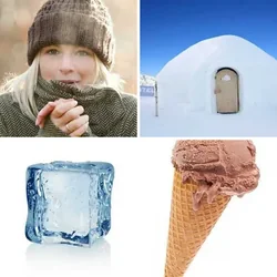 4 Bilder 1 Wort Level 77 Bilder