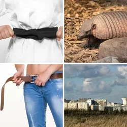 4 Bilder 1 Wort Level 78 Bilder