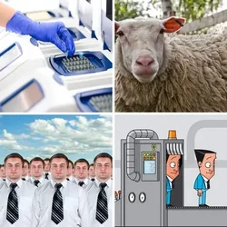4 Bilder 1 Wort Level 787 Bilder