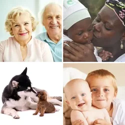 4 Bilder 1 Wort Level 794 Bilder