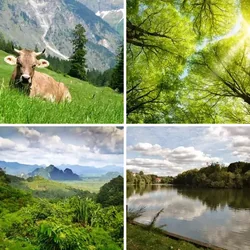 4 Bilder 1 Wort Level 798 Bilder