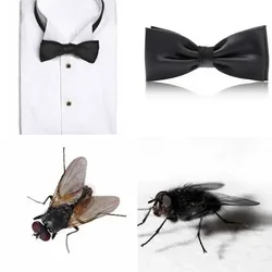 4 Bilder 1 Wort Level 81 Bilder