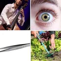 4 Bilder 1 Wort Level 812 Bilder