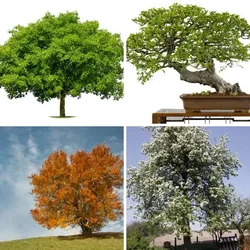 4 Bilder 1 Wort Level 835 Bilder