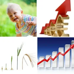 4 Bilder 1 Wort Level 837 Bilder