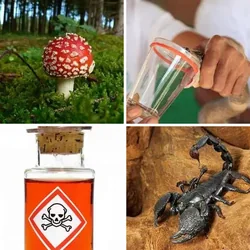 4 Bilder 1 Wort Level 85 Bilder