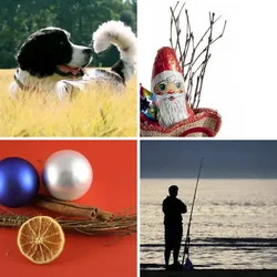 4 Bilder 1 Wort Level 867 Bilder