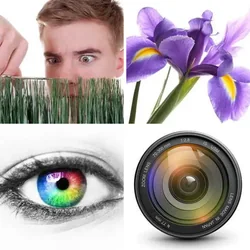 4 Bilder 1 Wort Level 869 Bilder
