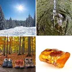 4 Bilder 1 Wort Level 876 Bilder