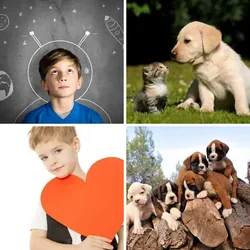 4 Bilder 1 Wort Level 878 Bilder