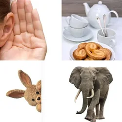 4 Bilder 1 Wort Level 88 Bilder