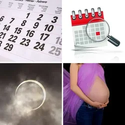 4 Bilder 1 Wort Level 882 Bilder