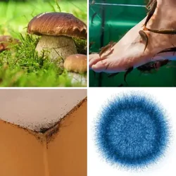 4 Bilder 1 Wort Level 90 Bilder