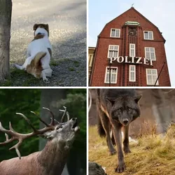 4 Bilder 1 Wort Level 927 Bilder