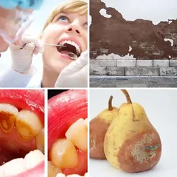 4 Bilder 1 Wort Level 948 Bilder