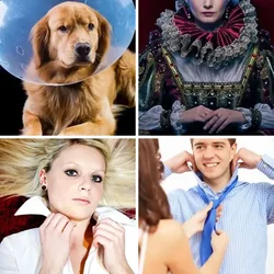 4 Bilder 1 Wort Level 996 Bilder